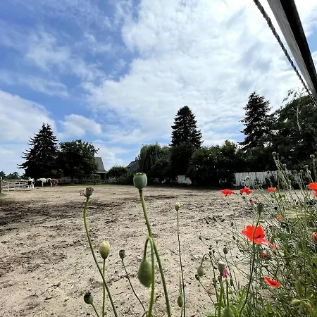 Villa Exklusive Landvilla Mit Pool, Sauna Und Garten *