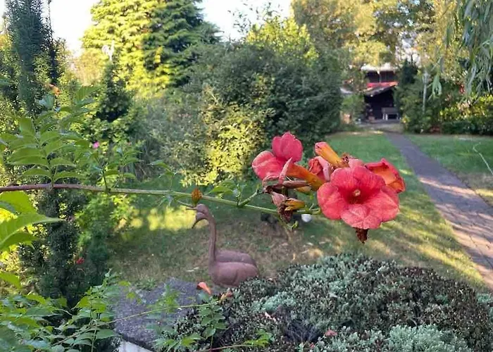 Exklusive Landvilla Mit Pool, Sauna Und Garten * Schwalmtal (North Rhine-Westphalia)