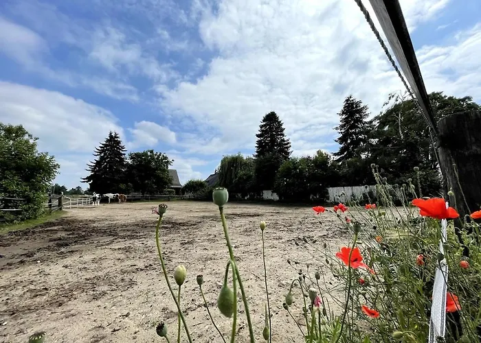 Villa Exklusive Landvilla Mit Pool, Sauna Und Garten *